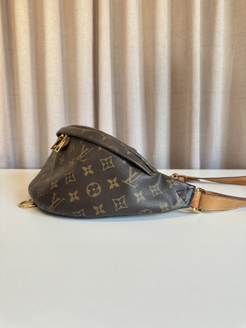 Louis Vuitton Bumbag - Image 4