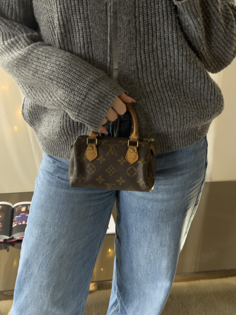Louis Vuitton Nano Speedy