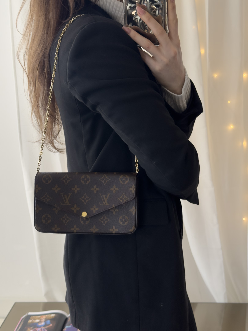 Louis Vuitton Felicie Pochette