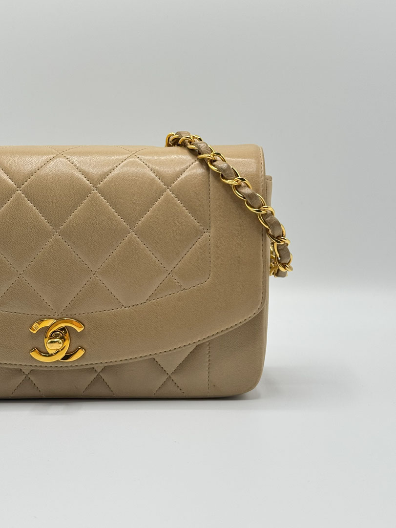 Chanel Diana Small Lambskin Leather