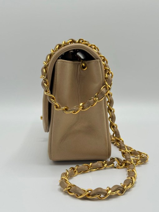 Chanel Diana Small Get Your Designer Bag
