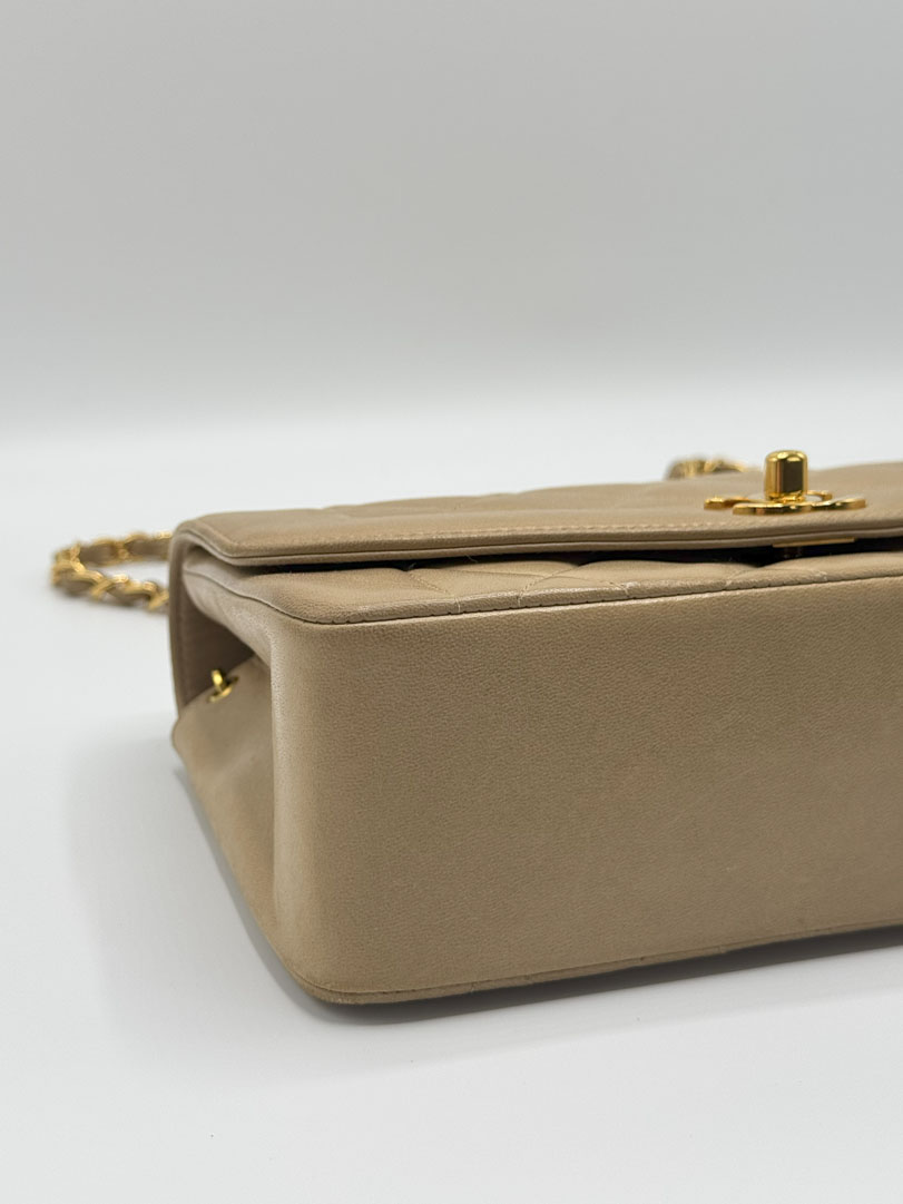 Chanel Diana Small Lambskin Leather
