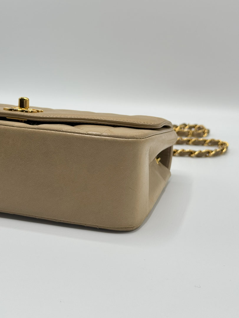 Chanel Diana Small Lambskin Leather