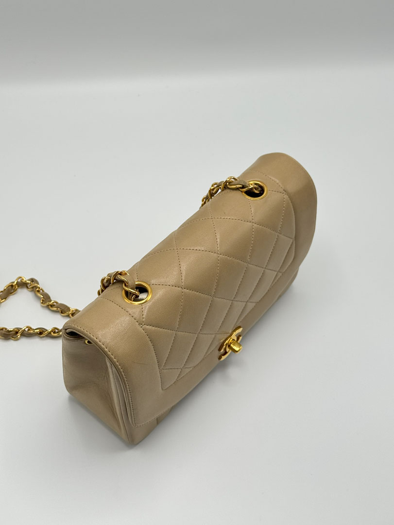 Chanel Diana Small Lambskin Leather