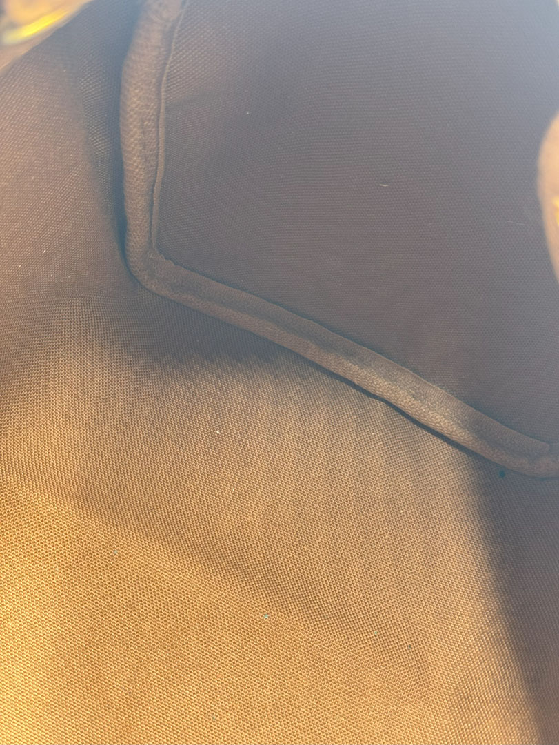 Louis Vuitton Speedy 25