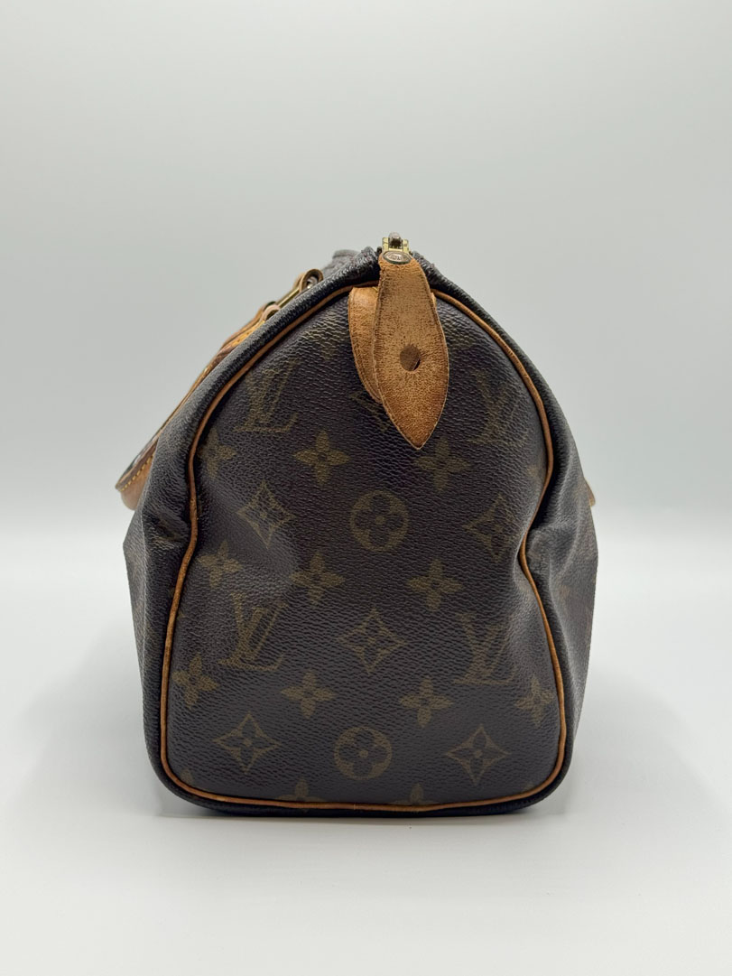 Louis Vuitton Speedy 25