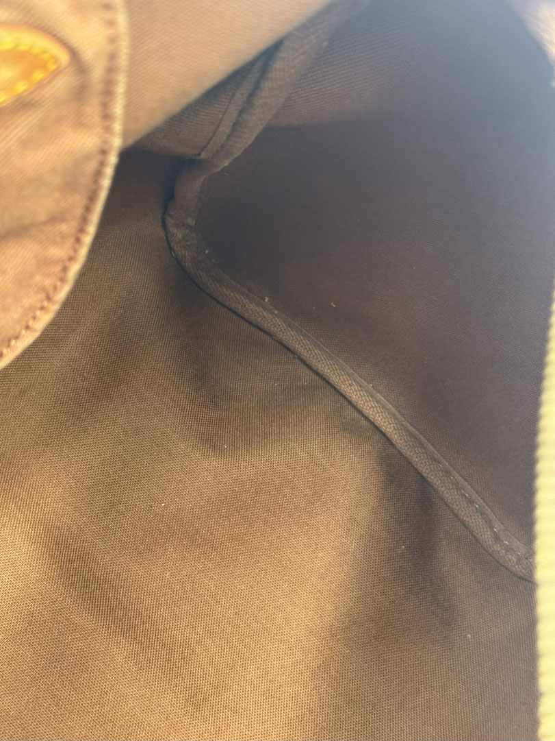 Louis Vuitton Speedy 35