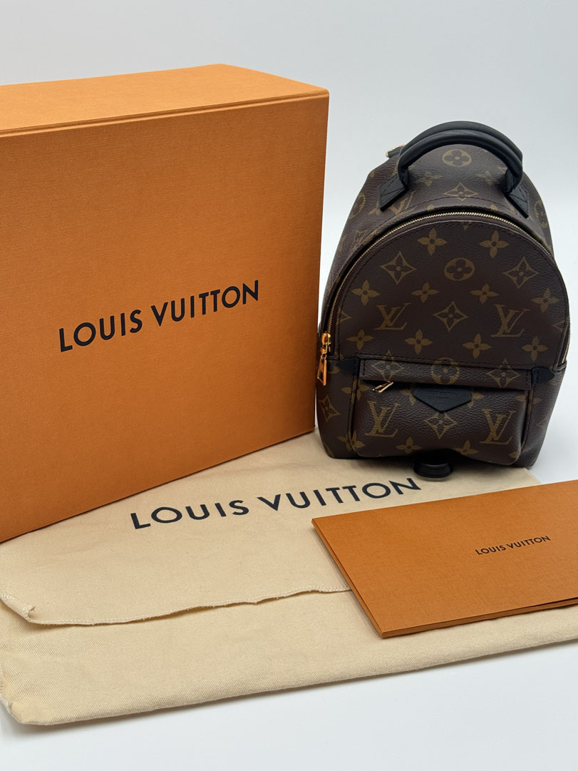 Louis Vuitton Palm Springs Mini