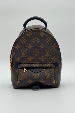 Louis Vuitton Palm Springs Mini