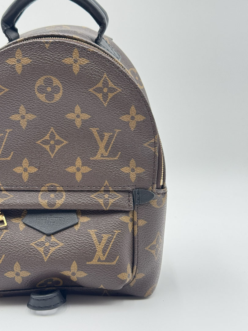 Louis Vuitton Palm Springs Mini