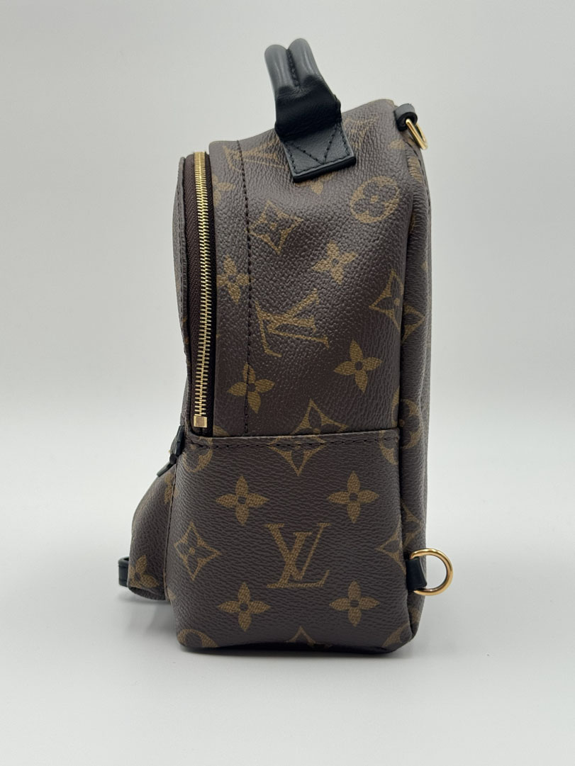 Louis Vuitton Palm Springs Mini