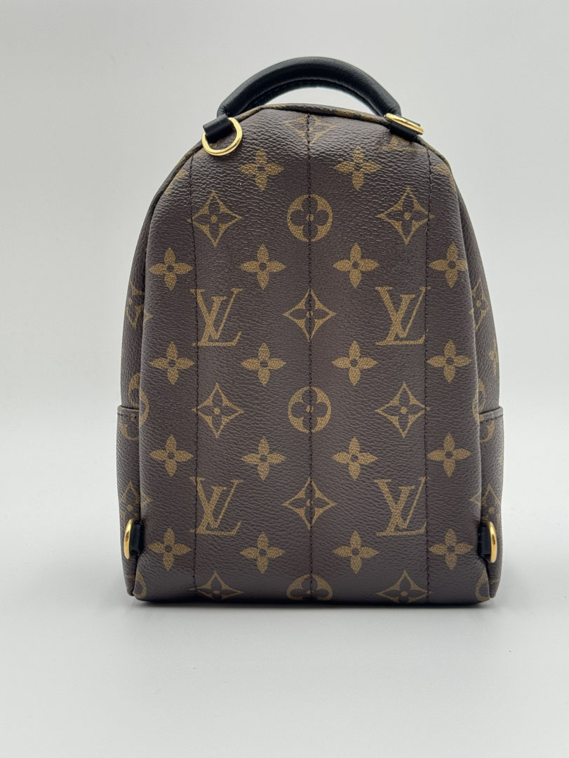 Louis Vuitton Palm Springs Mini