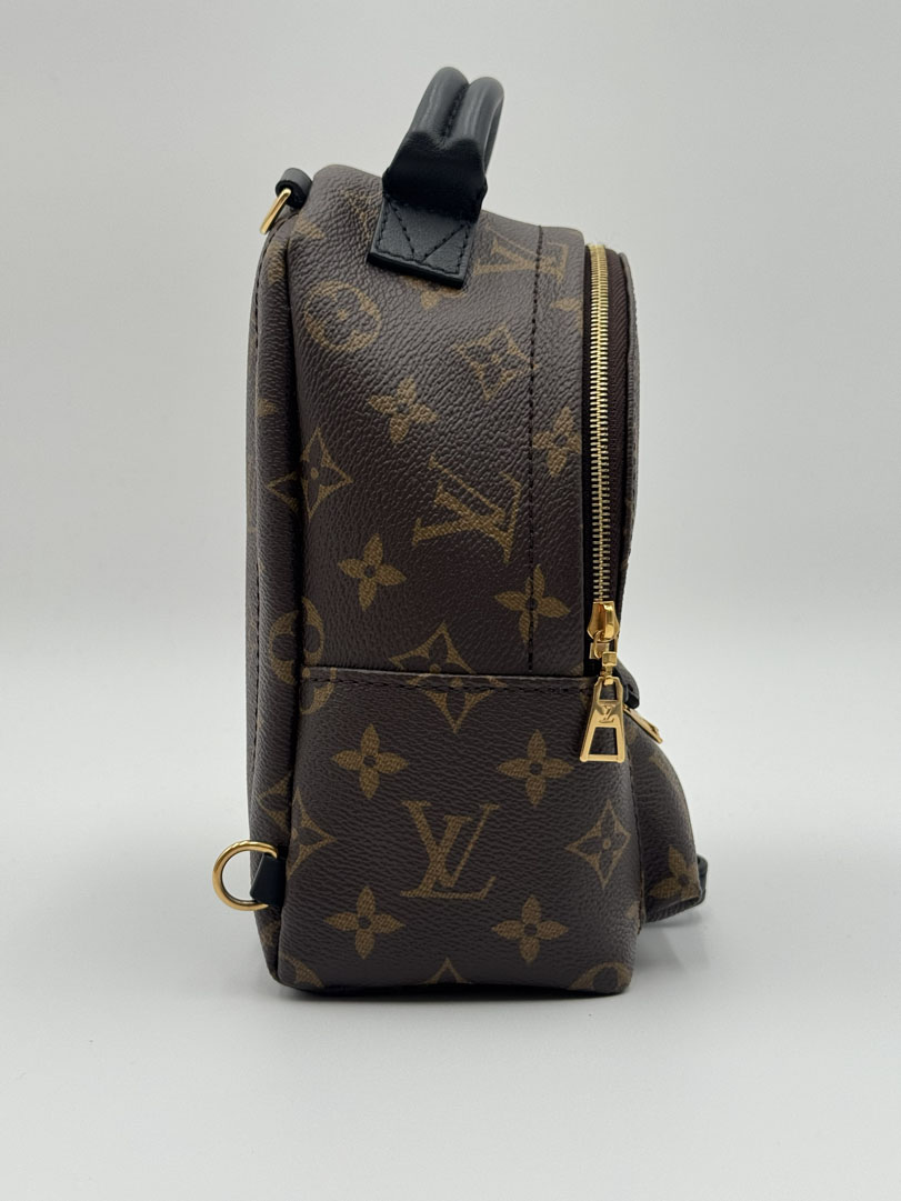 Louis Vuitton Palm Springs Mini