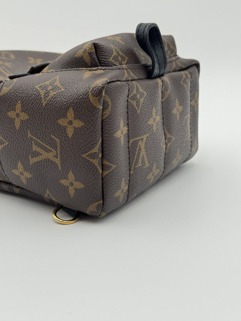 Louis Vuitton Palm Springs Mini