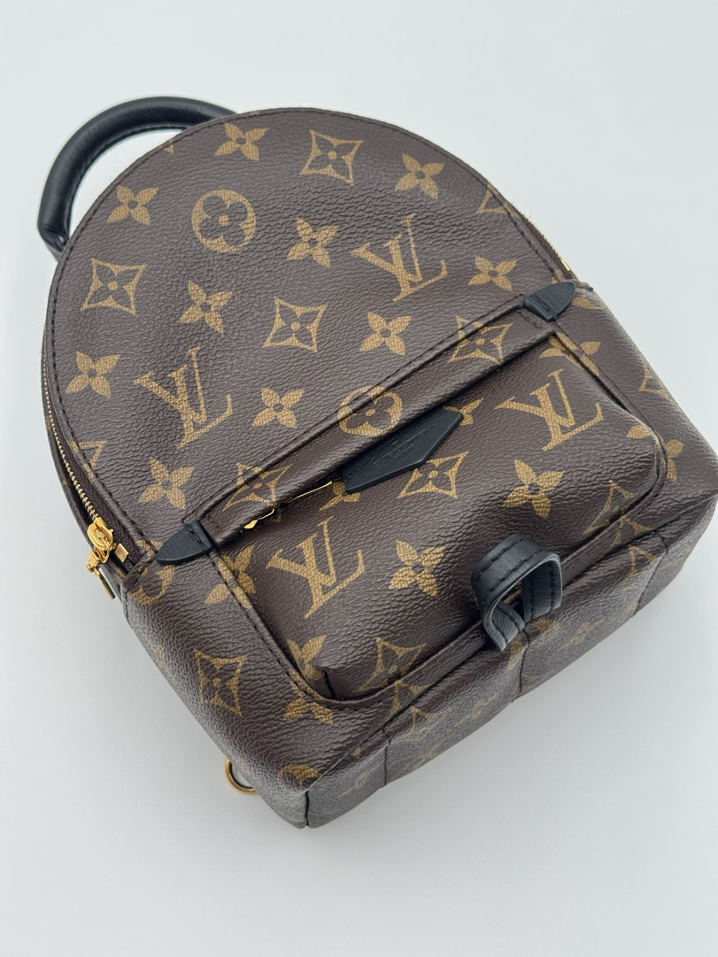 Louis Vuitton Palm Springs Mini