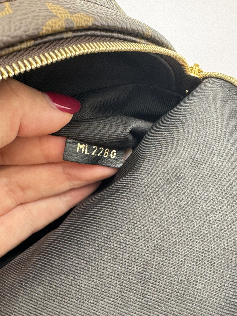 Louis Vuitton Palm Springs Mini