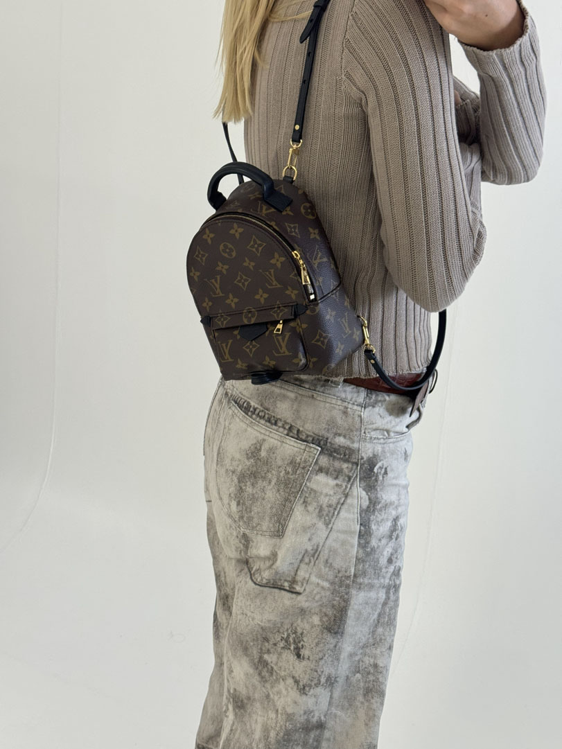 Louis Vuitton Palm Springs Mini