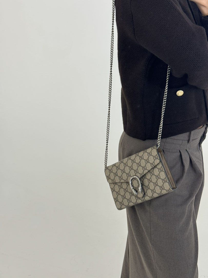 Gucci Dionysus Wallet On Chain