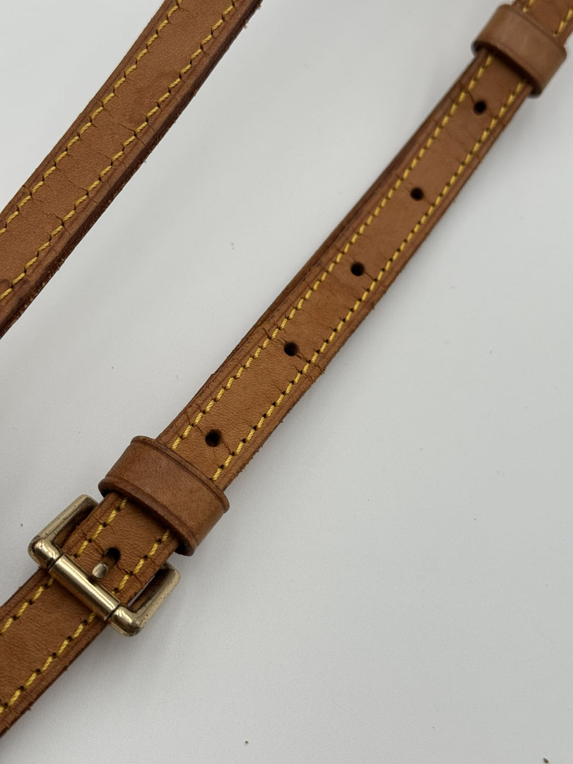 Louis Vuitton Monogram Saint Cloud PM