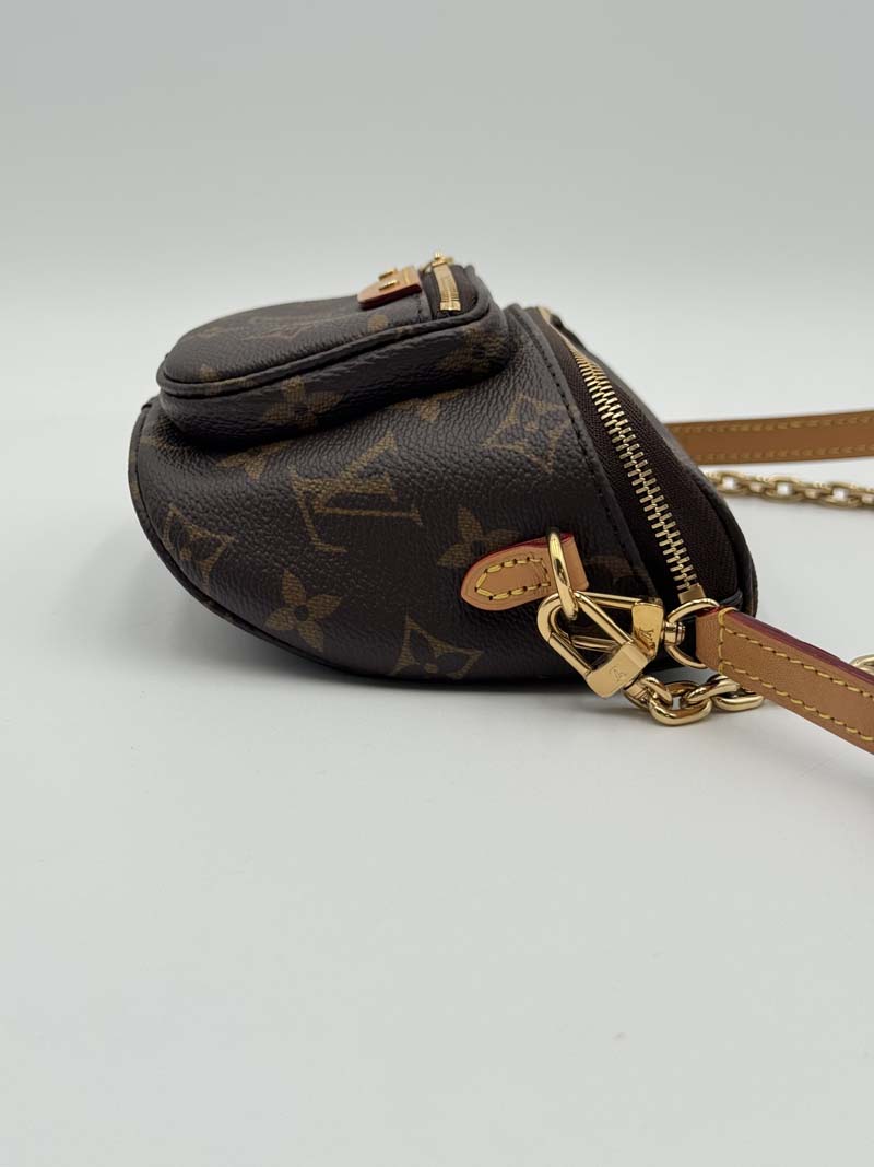 Louis Vuitton Mini Bum Bag - Get Your Designer Bag