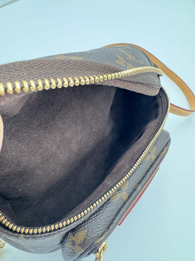 Louis Vuitton Mini Bum Bag - Get Your Designer Bag